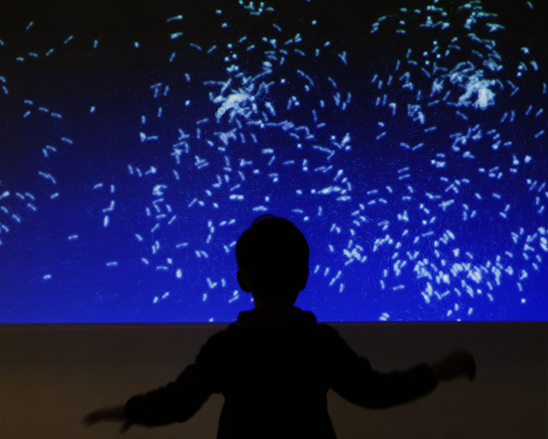 stars cgi display with a blue background child in front